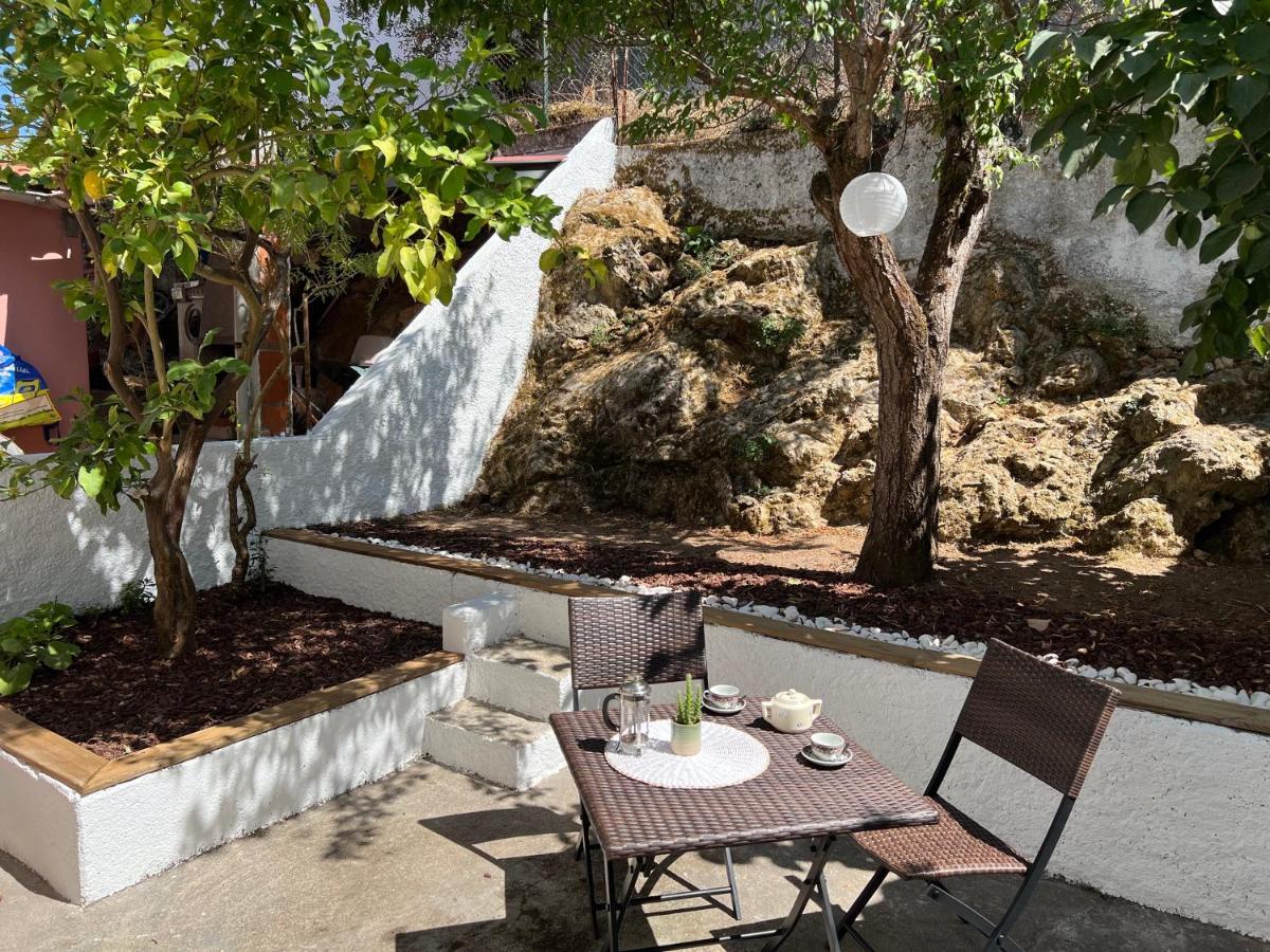 Moradia Xico'S House 코임브라 외부 사진